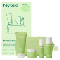 Hey Bud Mini Starter Kit 1 Each Hey Bud